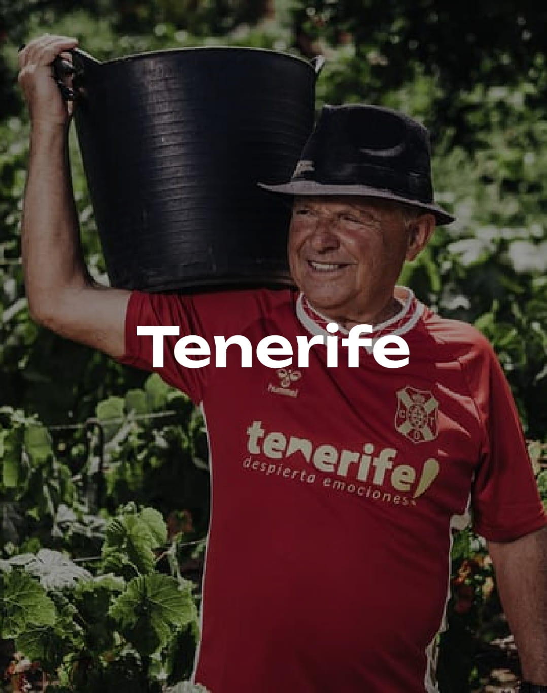 Equipaci&oacute;n del Tenerife